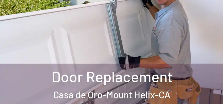  Door Replacement Casa de Oro-Mount Helix-CA